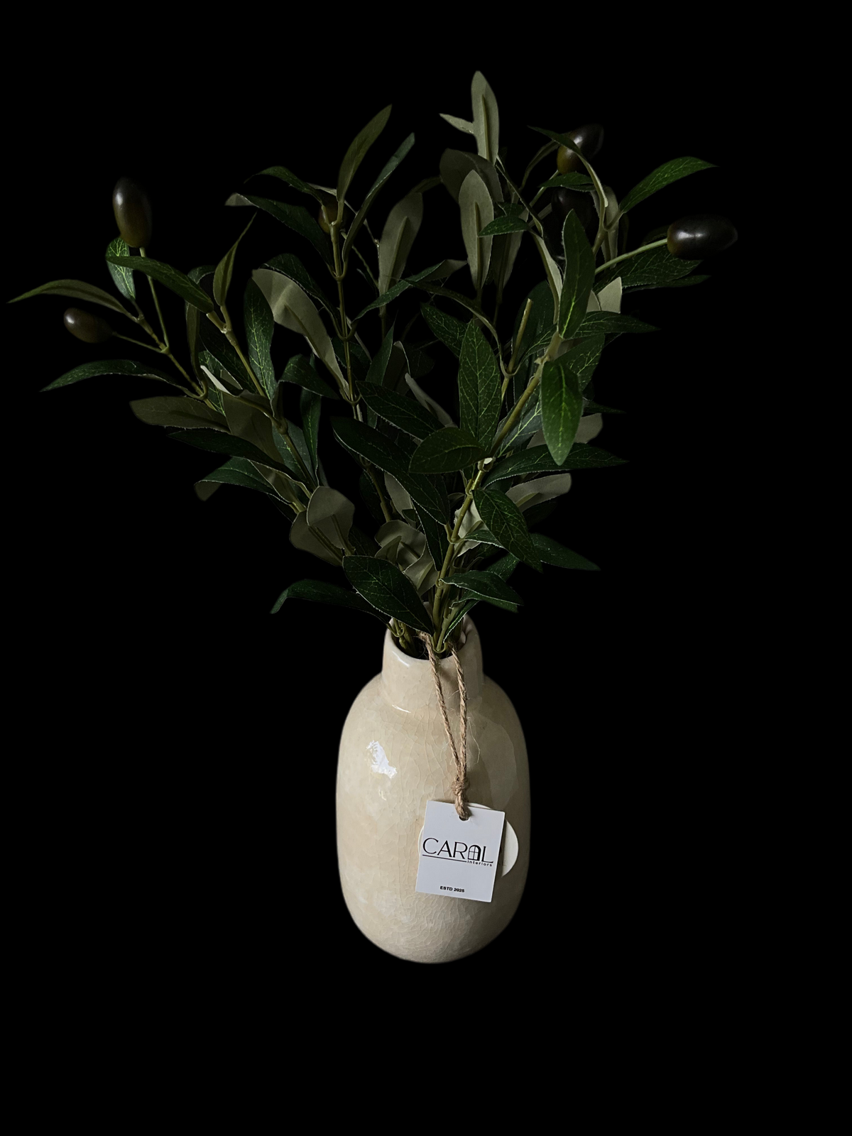 Planta con macetera de Olivo