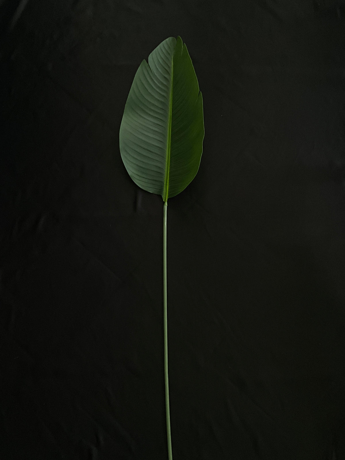 Hoja artificial realista