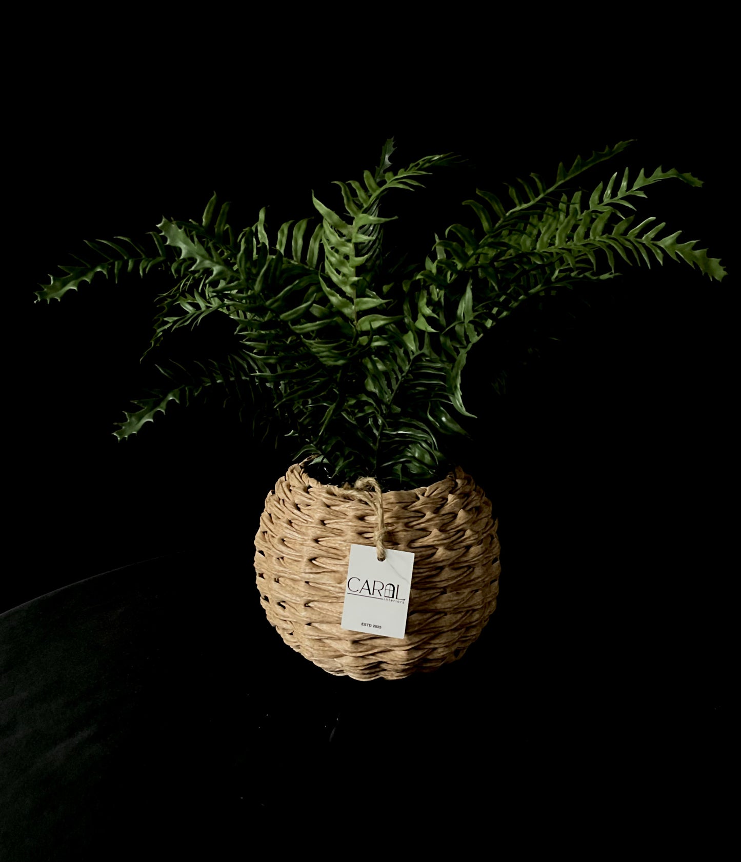 Planta con macetera de ratan