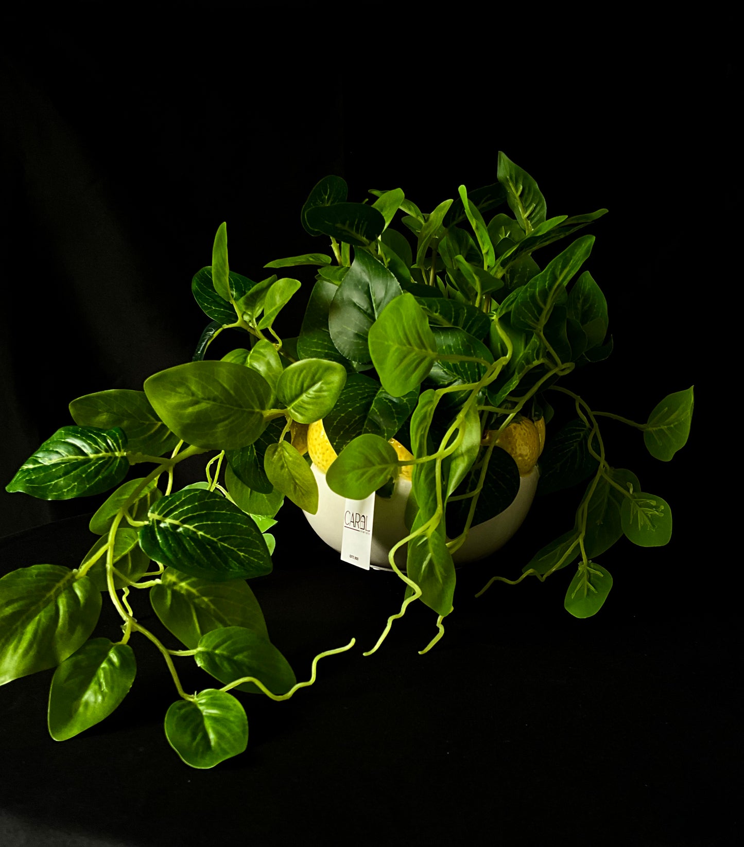 Planta con macetera de limón