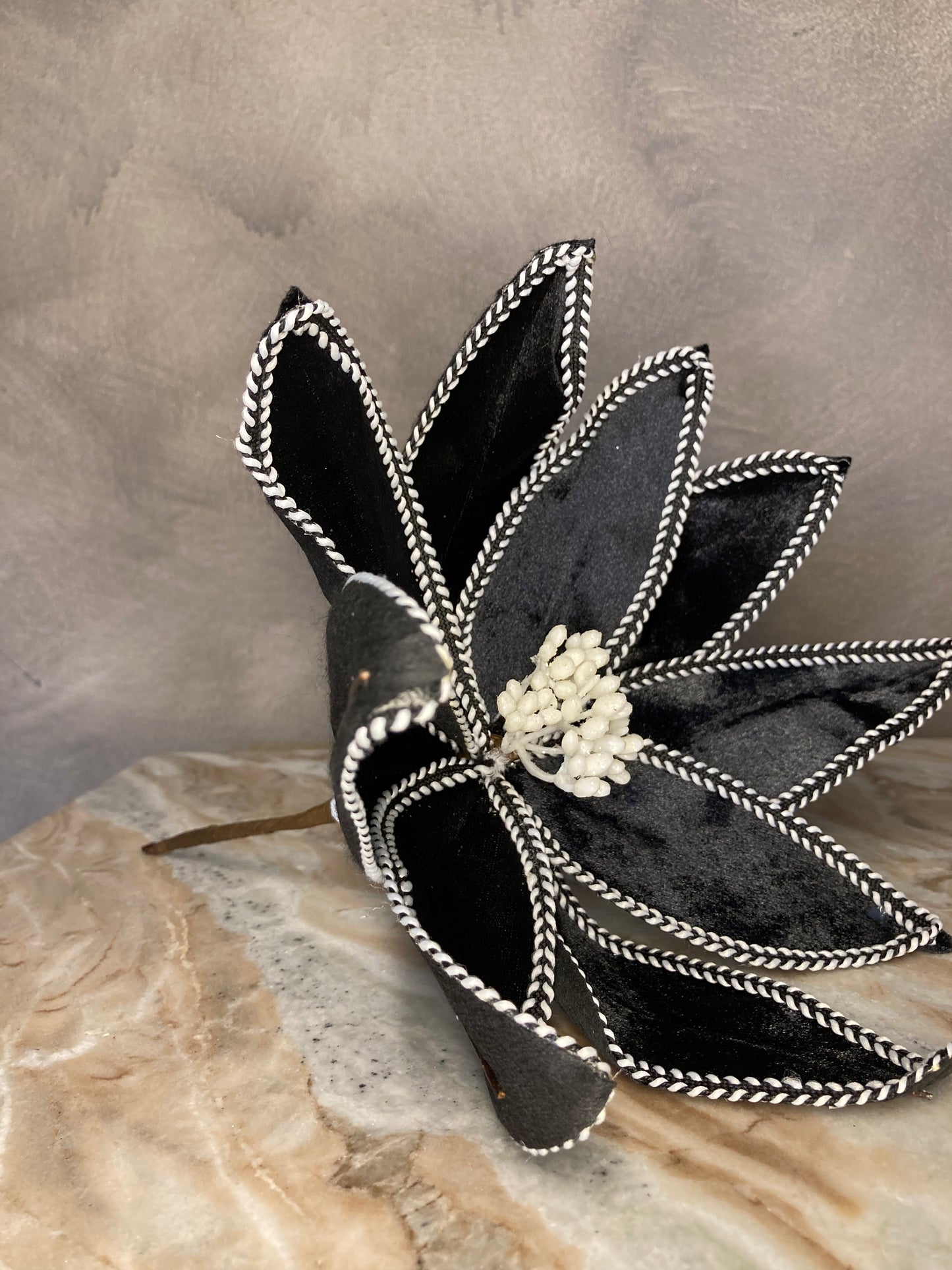 Flor de pascua negra
