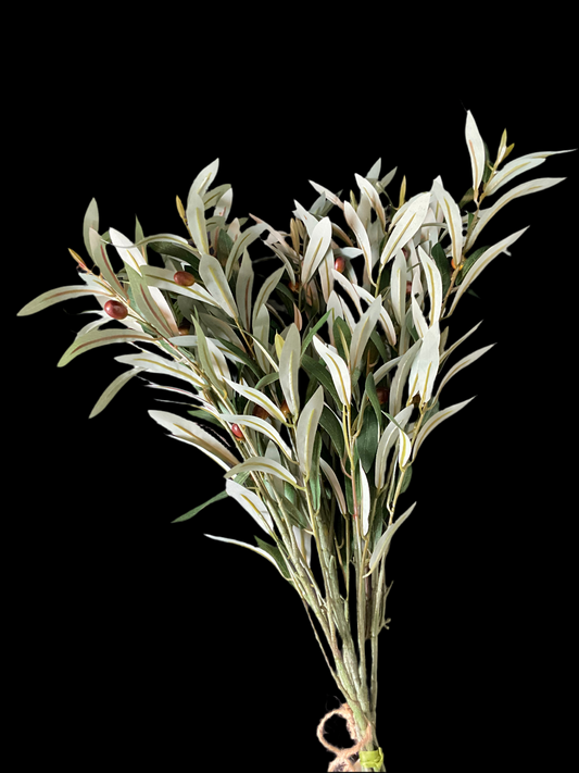 Ramas de olivo