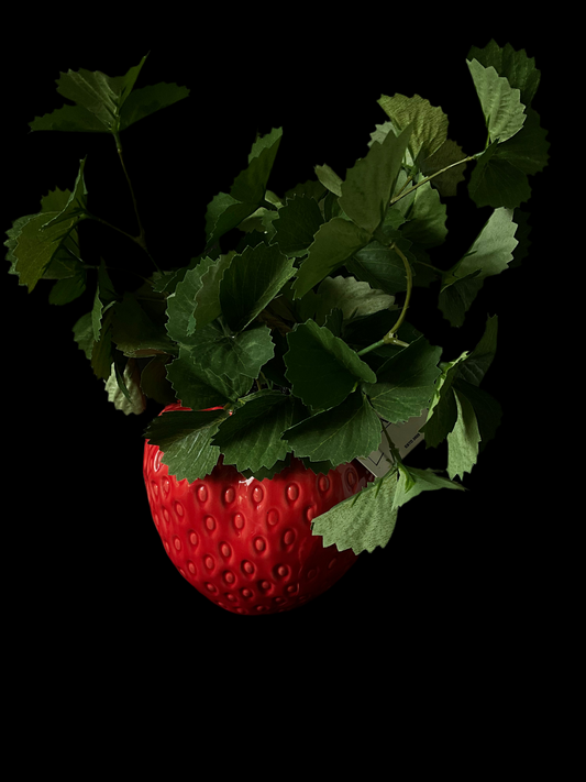 Planta con macetera de fresa