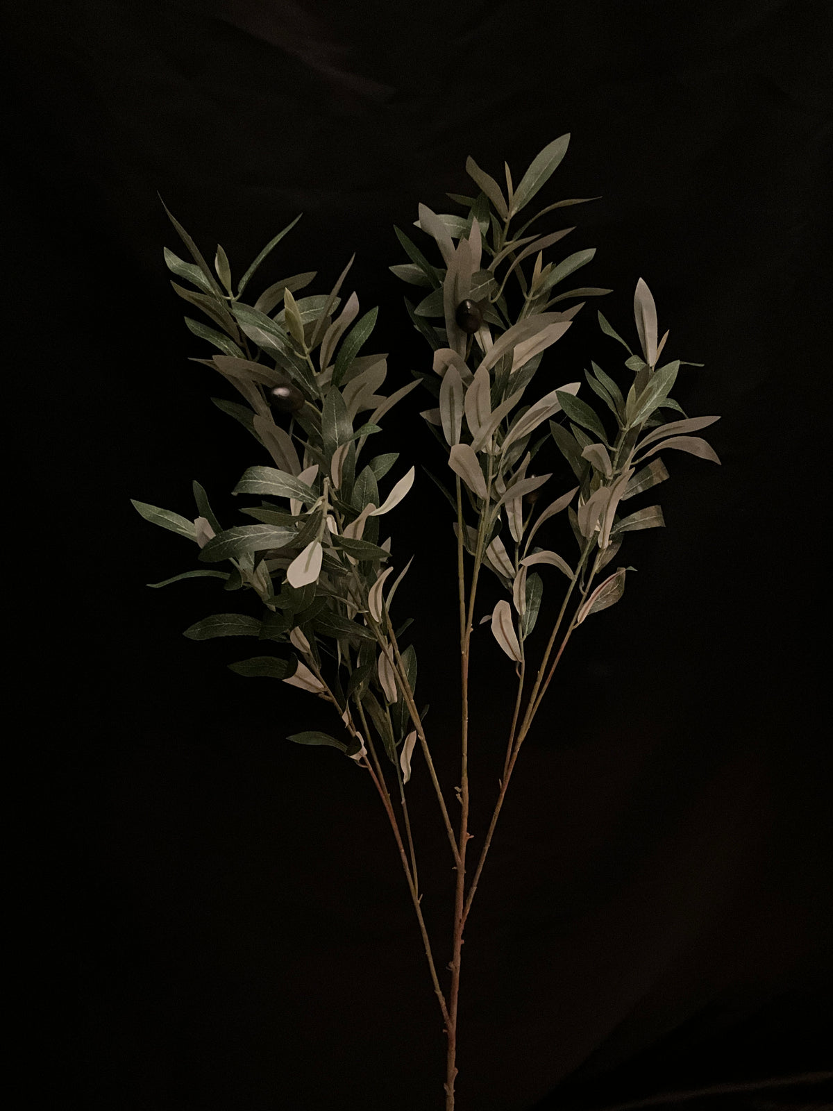 Planta artificial olivo