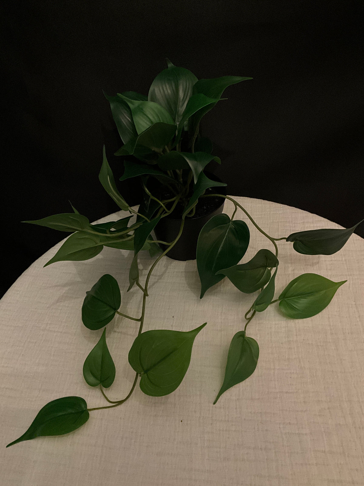 Planta artificial