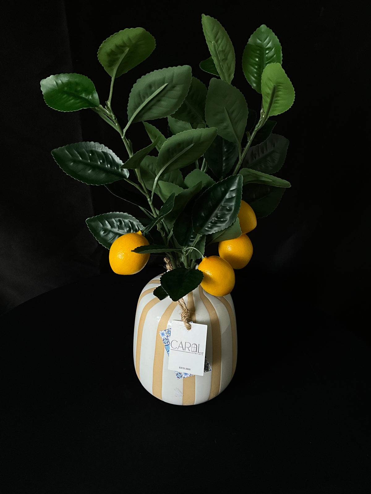 Planta con macetera de limón