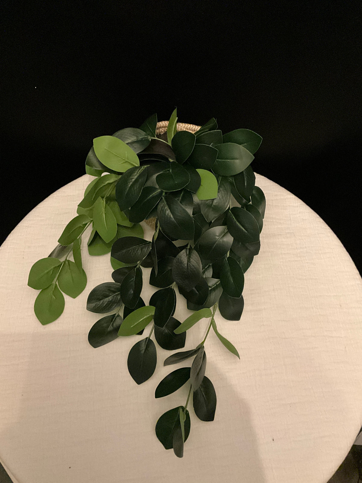 Planta