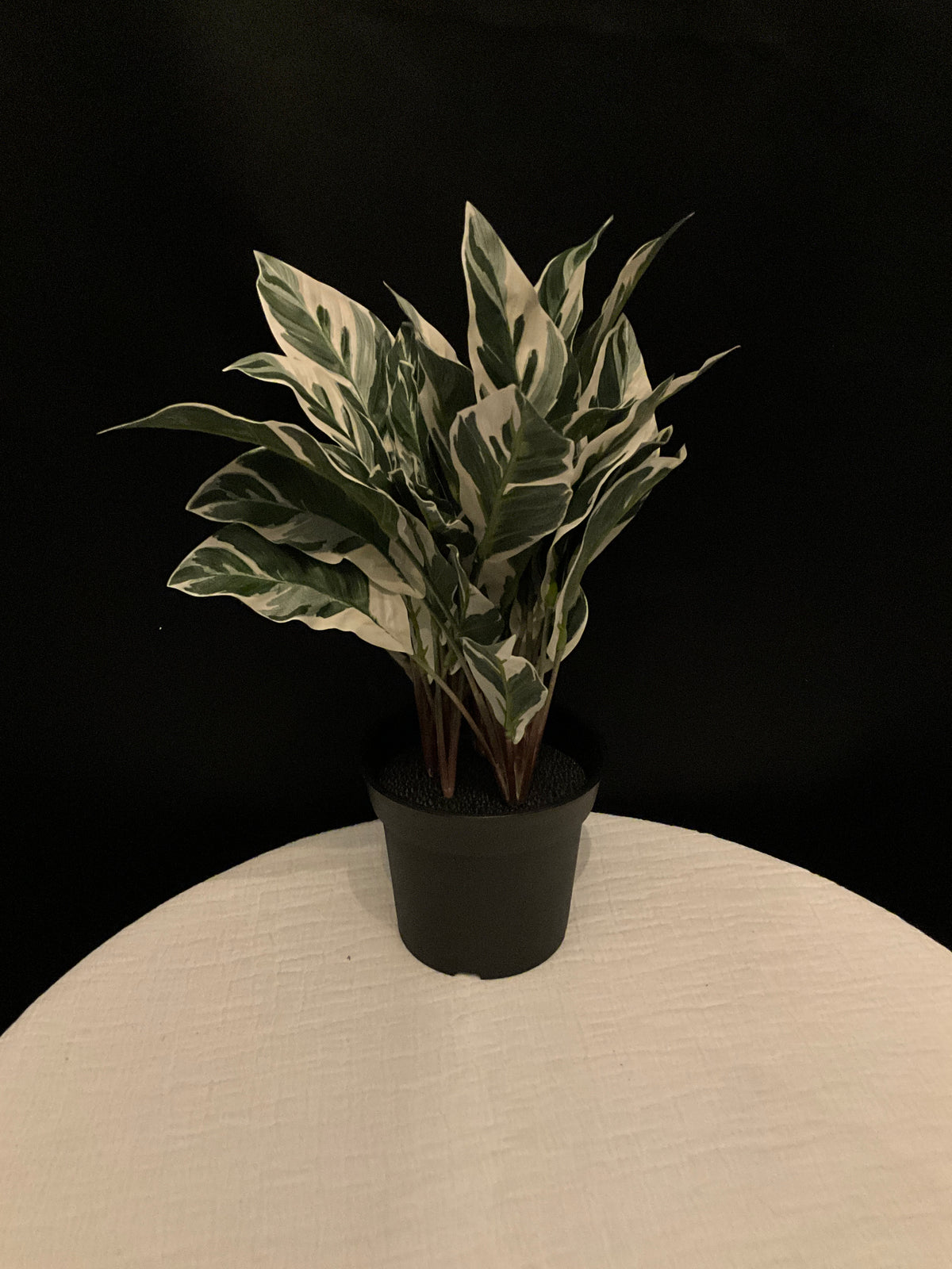 Planta artificial