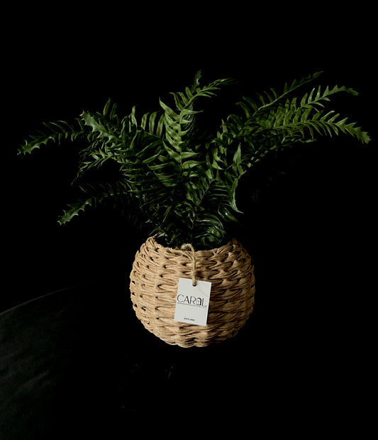 Planta con macetera de ratan