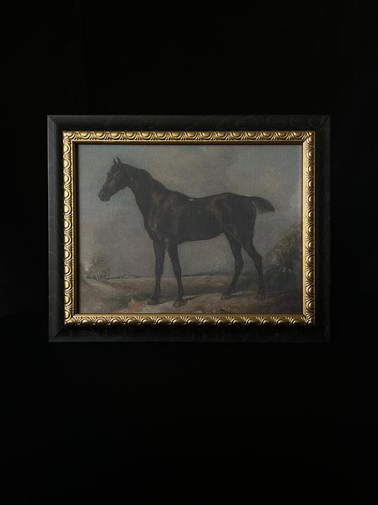 Pintura de caballo