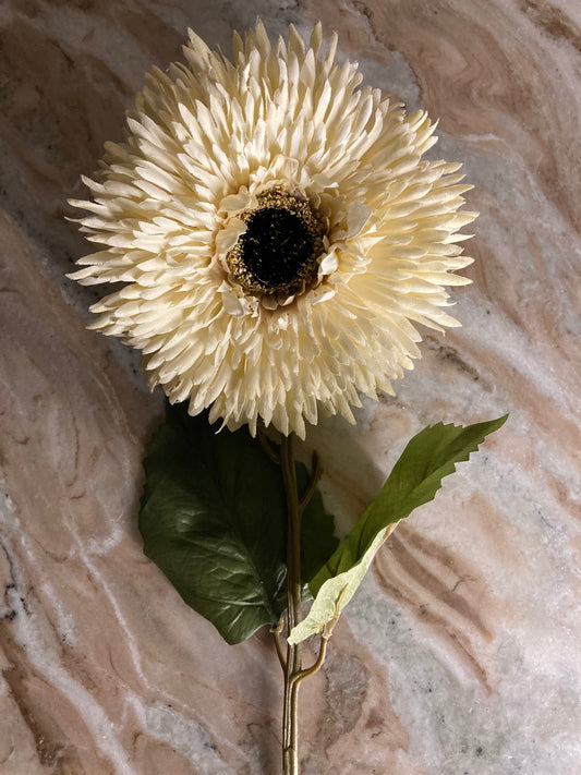 Girasol