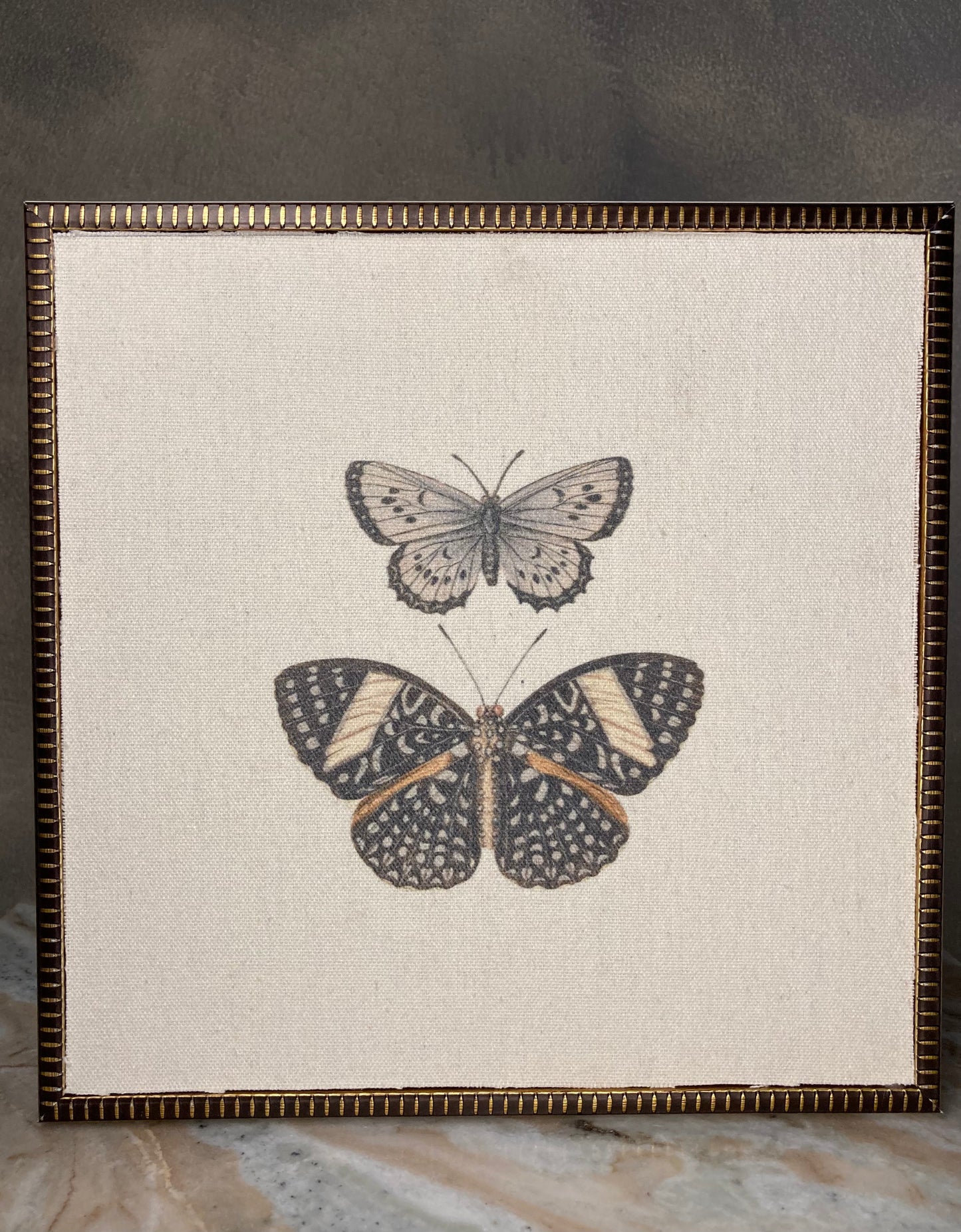 Cuadro Mariposas