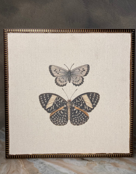 Cuadro Mariposas
