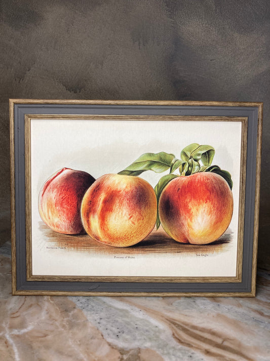 Cuadro Peachs