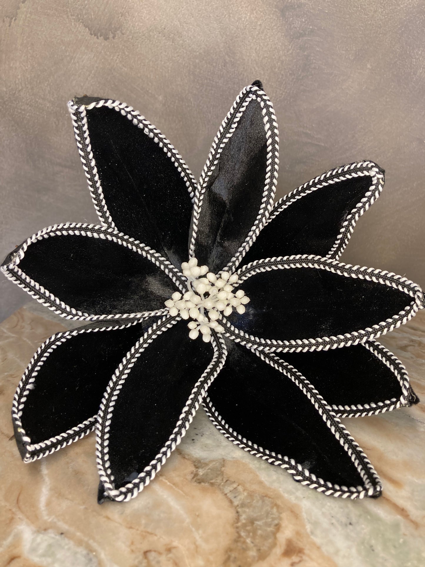Flor de pascua negra